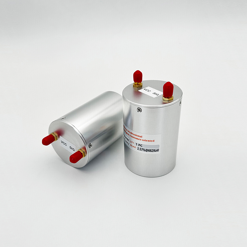 SIPM CsI detectors
